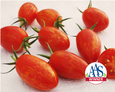 Red Torch Hybrid Tomato Seeds